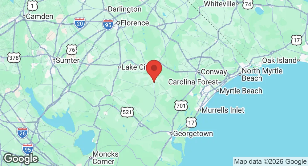 Near Hemingway, South Carolina, United States