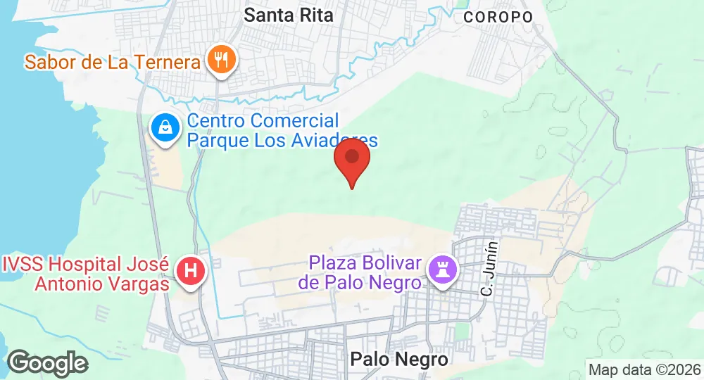Map of El Libertador Air Base