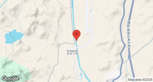 Map of Pyongyang International Airport