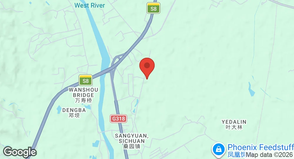 Map of Qionglai Air Base