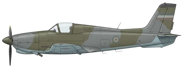 J-20 Kraguj profile drawing