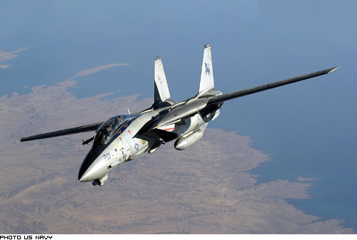 Picture of F-14 Tomcat