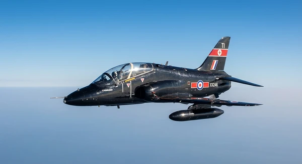 Hawk Training photo