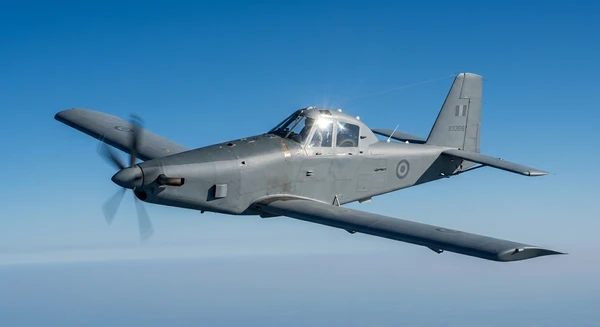 Archangel Combat photo