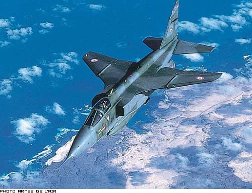 Picture of Jaguar