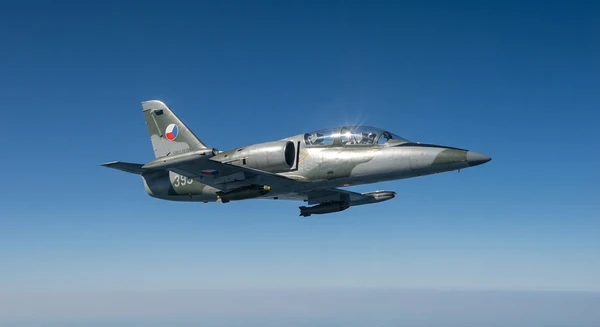 L-39 Albatros Training photo