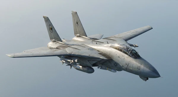 Photo of F-14 Tomcat
