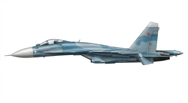 Profile of Su-33 Flanker-D