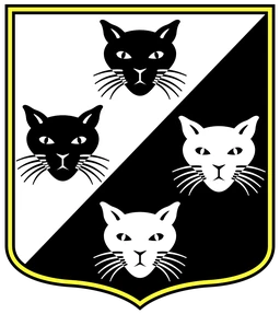 3rd Wing emblem