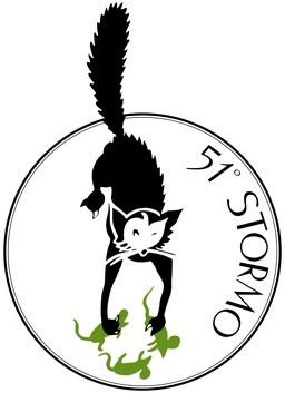 51st Wing emblem