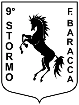 9th Wing emblem