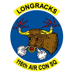 116th Air Control Squadron emblem