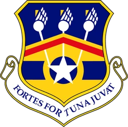 123d Airlift Wing emblem