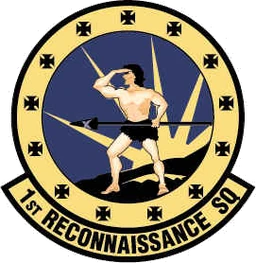 1st Reconnaissance Squadron emblem