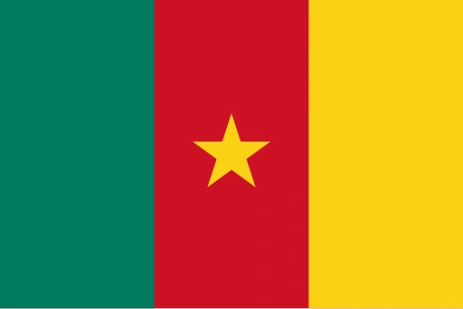 Flag of Cameroon