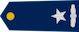 Insignia de Nëntoger