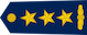 Insignia de Kolonel