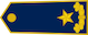 Insignia de Gjeneral brigade