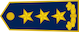 Insignia de Gjeneral lejtant
