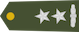 Insignia de Toger