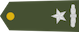 Insignia de Nëntoger