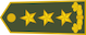 Insignia de Gjeneral lejtant