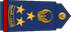 United Arab Emirates Air Force عميد Amid insignia