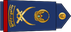 United Arab Emirates Air Force فريق Fariq insignia
