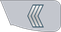 United Arab Emirates Air Force رقیب Raqib insignia