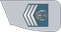 United Arab Emirates Air Force مساعد Musa'id insignia