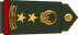 United Arab Emirates Army عقيد Aqid insignia