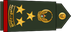 United Arab Emirates Army عميد Amid insignia