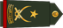 United Arab Emirates Army لواء Liwa insignia