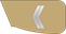 United Arab Emirates Army عريف Earif insignia