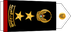 United Arab Emirates Navy عقيد Aqid insignia
