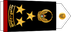 United Arab Emirates Navy عميد Amid insignia