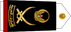 United Arab Emirates Navy فريق Fariq insignia