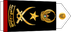 United Arab Emirates Navy فريق أول‎‎ Fariq 'awal insignia