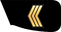 United Arab Emirates Navy رقیب Raqib insignia