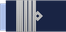 Argentina Air Force Vicecomodoro insignia