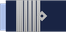 Argentina Air Force Comodoro insignia