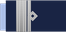 Argentina Air Force Comodoro mayor insignia