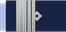 Argentina Air Force Brigadier insignia