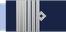 Argentina Air Force Brigadier mayor insignia