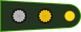 Argentina Army Teniente primero insignia