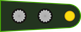 Argentina Army Teniente insignia