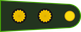 Argentina Army Teniente coronel insignia