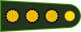 Argentina Army Coronel insignia