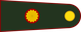 Argentina Army Coronel mayor insignia