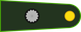 Argentina Army Subteniente insignia